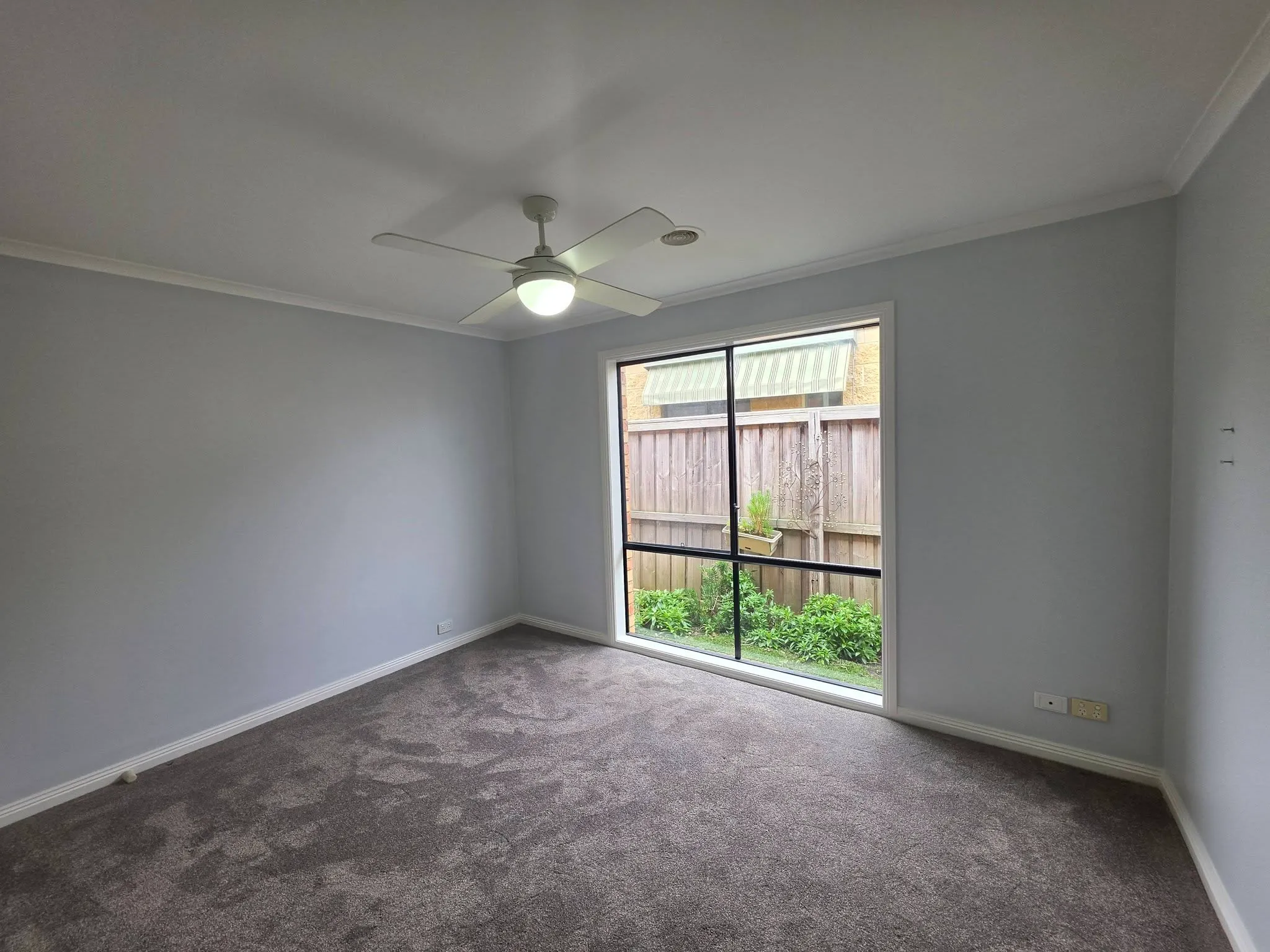 Finished grey bedroom with ceiling fan, carpet and a large window